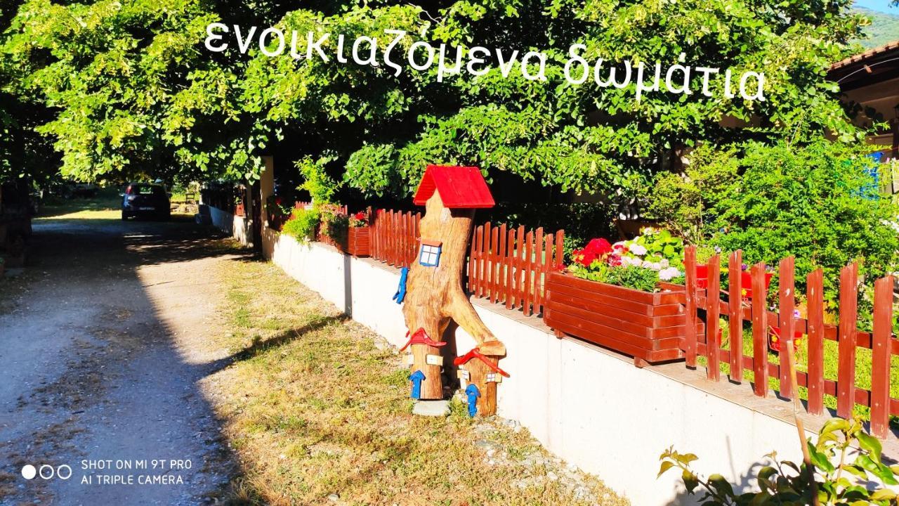 Βίλα Κατερίνα - Villa Katerina Kokkino Nero Exterior photo